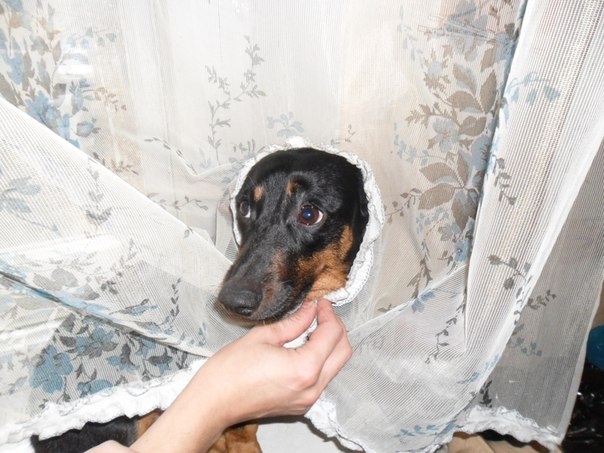 №3, Юля Зеленкова №3, Юля Зеленкова