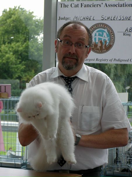 Синнэ Ёж фото №50