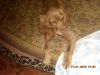  фотография #19