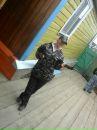 Натали Степанова фотография #26 (источник - https://vk.com/id33894415)