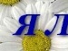 Оксана Овдієнко фотография #16 (источник - https://vk.com/id135546699)