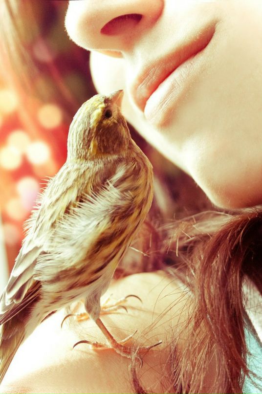 Polly Born фотография #30