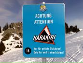 Фотография Михайлова Стаса