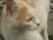 Анастасія Слава фотография #45 (источник - https://vk.com/id158982002)