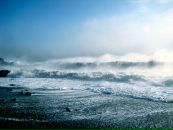 Фотография Паленик Екатерина