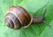 Фотография Кравцовой Ольги