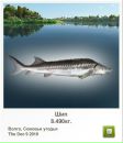 Василий Мыс фотография #9 (источник - https://vk.com/id31481818)