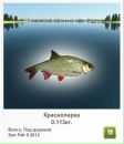 Саша Саків фотография #14 (источник - https://vk.com/id161806551)