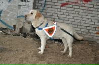 Фотография Цветковой Екатерины