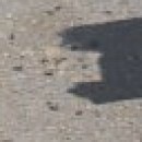 Іра Лянка фотография #35 (источник - https://vk.com/id128372721)