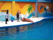 Murat Uzun фотография #26 (источник - https://vk.com/id1846906)