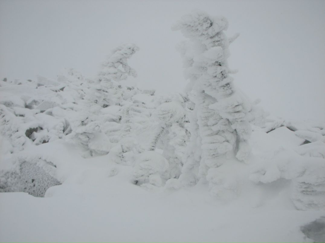 Антон Городилов фотография #33