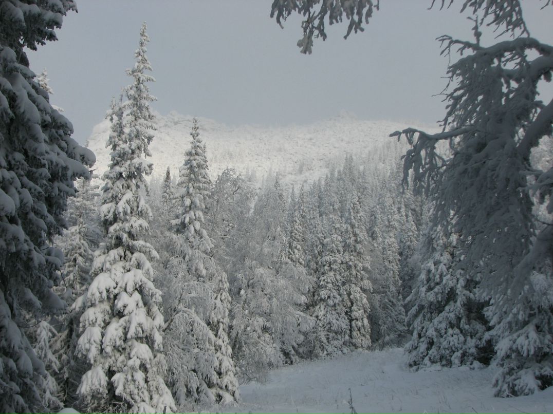 Антон Городилов фотография #48