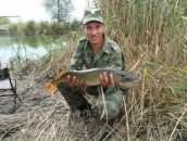 Фотография Ирхина Даша