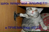 Фотография Сачко Татьяны