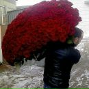 Світлана Сас фотография #6 (источник - https://vk.com/id19321099)