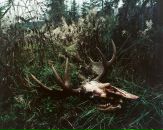 Фотография Антон Ляпин
