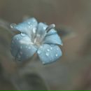 Ірина Матвійчук фотография #39 (источник - https://vk.com/id38795452)