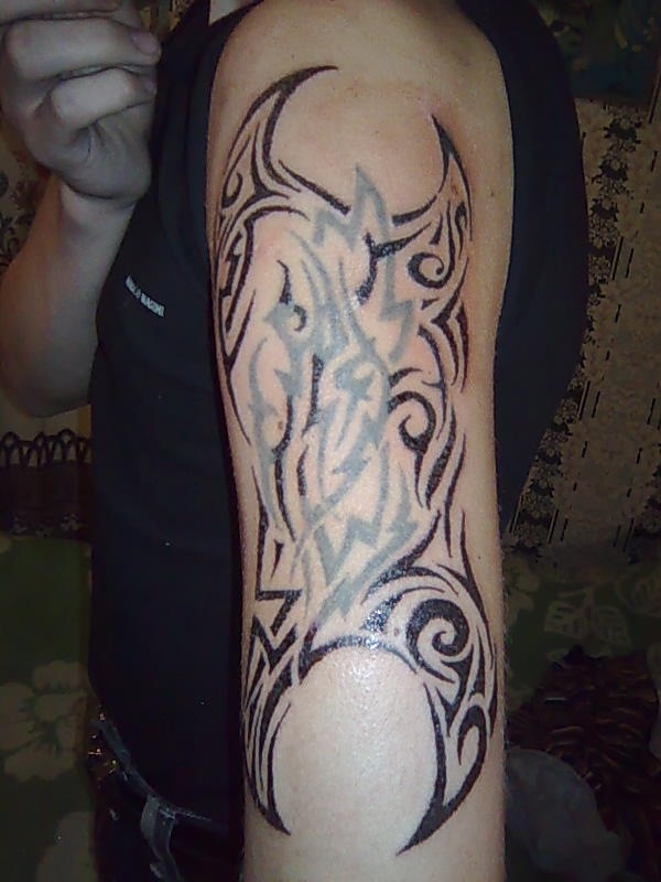 Макс Гладышев фотография #49