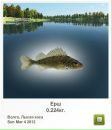 Роман Дрізд фотография #27 (источник - https://vk.com/id135739740)