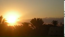 Олена Дівченко фотография #7 (источник - https://vk.com/id6475327)