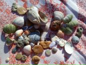 Олена Дівченко фотография #10 (источник - https://vk.com/id6475327)