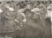 Фотография Карманова Александра