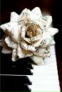 Наталія Настич фотография #49 (источник - https://vk.com/id143346170)
