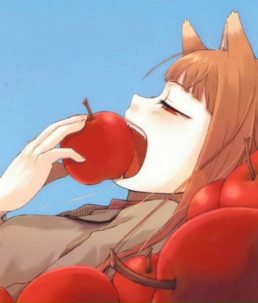 Holo Wise фото №1