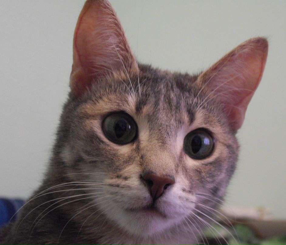 Максим Савин фотография #23