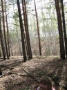 Елена Шестернина фотография #32 (источник - https://vk.com/id3179533)
