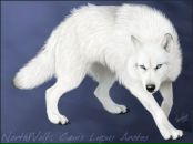 Роман Стефанів фотография #17 (источник - https://vk.com/id139342028)