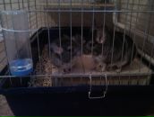 Андрей Сурков фотография #7 (источник - https://vk.com/id764308)