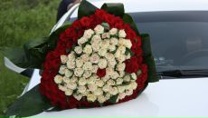 Фотография Заборовской Светланы