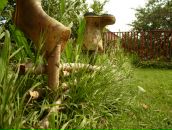 Фотография Медведева Андрея