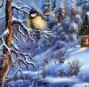 Софія Лопачук фотография #38 (источник - https://vk.com/id139833241)