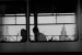  фотография #48