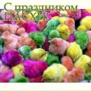 Фотография Константин Чунихин