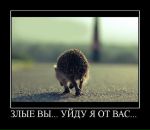 Фотография Ваколова Игоря