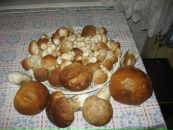 Наталі Керничишин фотография #22 (источник - https://vk.com/id61099308)