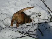 Фотография Виницкого Александра