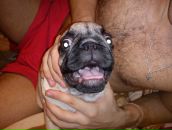 Фотография Ивана Ивана