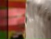 Юлюся Візлінська фотография #11 (источник - https://vk.com/id34593190)