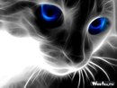 Фотография Костиной Юлии