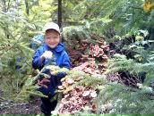 Фотография Крестовских Алексея