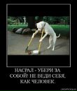 Міша Мелещук фотография #37 (источник - https://vk.com/id131626885)