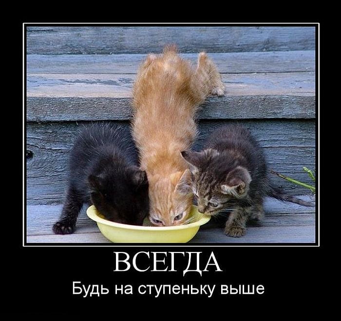 Юля Елистратова фотография #24