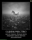 Tm Desperado фотография #21 (источник - https://vk.com/id65239667)