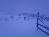 Дмитрий Звягин фотография #33 (источник - https://vk.com/id957409)