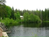 Фотография Кашуриной Елены